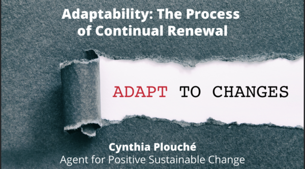Adaptability: The Process of Continual Renewal