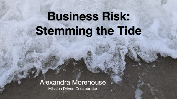 Business Risk: Stemming The Tide