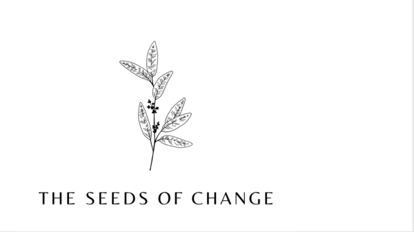 The Seeds of Change Foundation