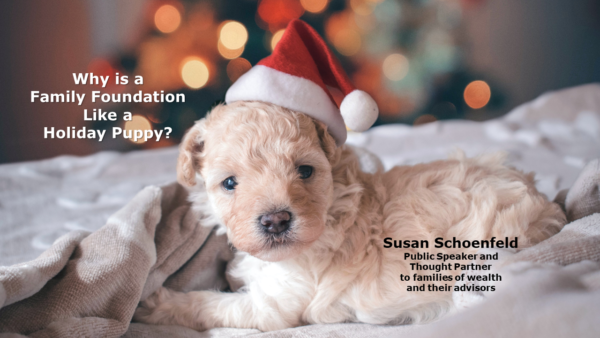 Why is a Family Foundation Like a Holiday Puppy?