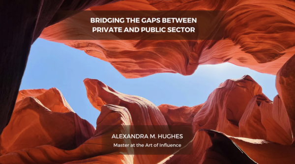 Bridging the Gaps Between Private and Public Sector