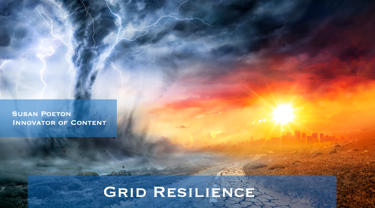 Grid Resilience