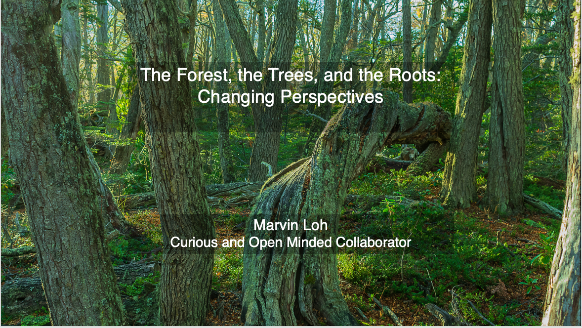 The Forest, the Trees, and the Roots: Changing Perspectives