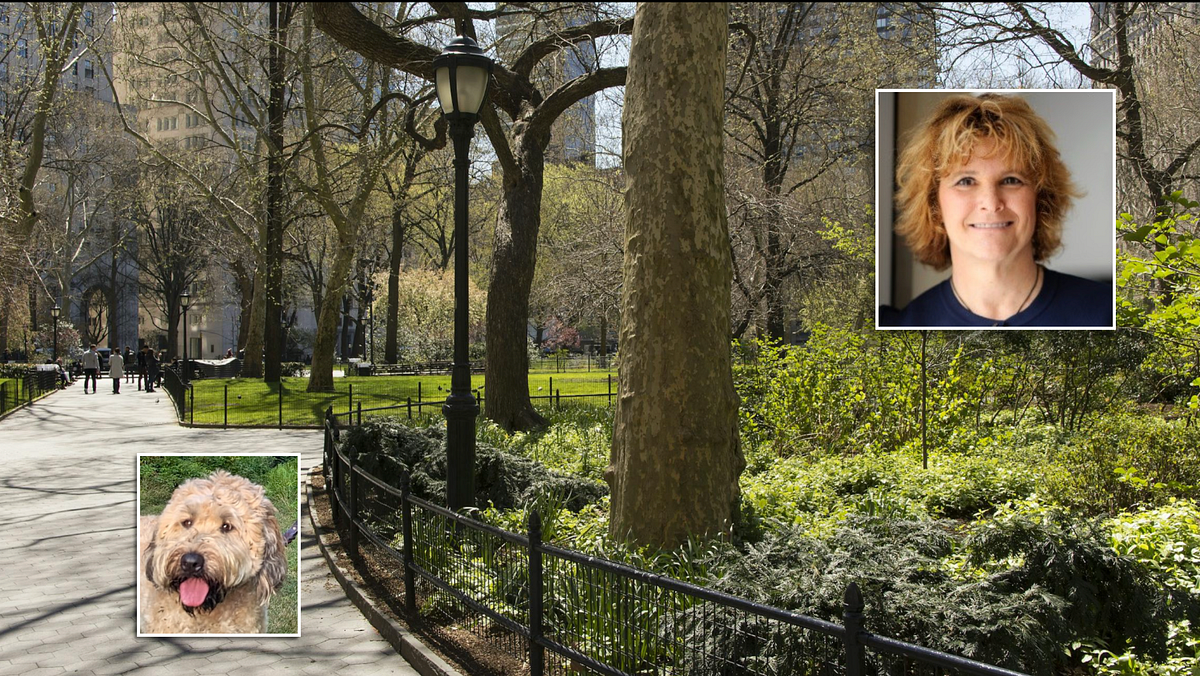 A Walk in Central Park with Gail Zauder