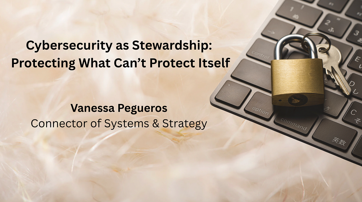 Cybersecurity as Stewardship: Protecting What Can’t Protect Itself